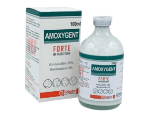 Amoxygent Forte Injection (IM)