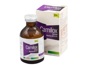 Camilox Injection